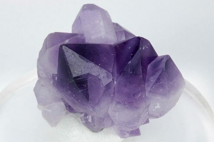 Deep Purple, Amethyst Crystal Cluster - Madagascar #225464